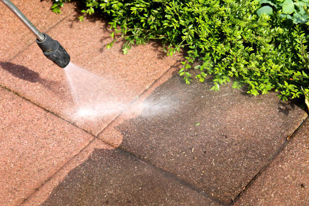 Best Concrete Pressure Washing  in Audubon Park, KY